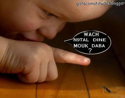 Rien a dire LoL